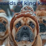 Golden king cavalier dogs are walks in ice falling area. The background of image is blur.